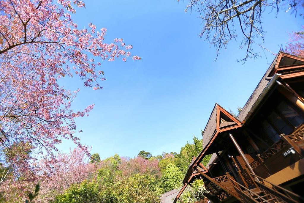 Angkhang Nature Resort Fang Kültér fotó