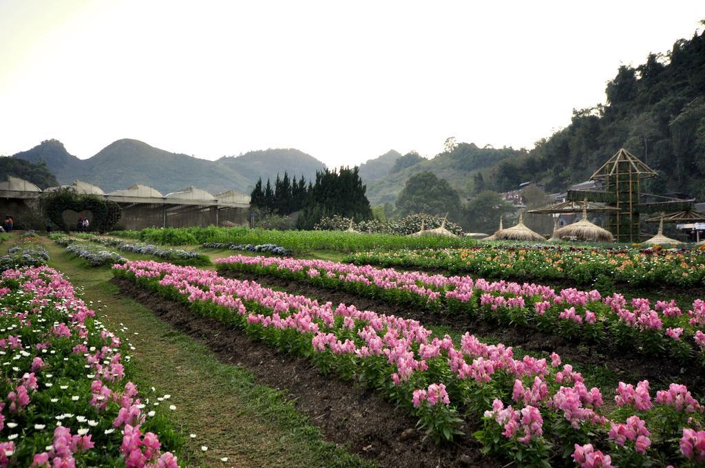 Angkhang Nature Resort Fang Kültér fotó